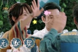 中餐厅里戚薇和王俊凯长得简直太像,王俊凯和杨紫喝咖啡也笑到肚子疼。
