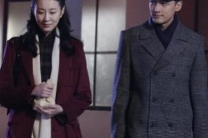 伪装者程锦云扮演者王乐君资料简介:
