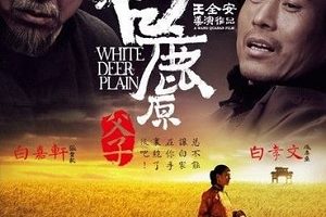 <白鹿原>导演王全安piao chang被拘  圈内朋友怎么看