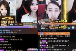 为什么会长会长会披着紫马甲?