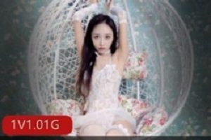 《月暖如梵音的实用性社保作品：美丽的翅膀，甜蜜的梦》