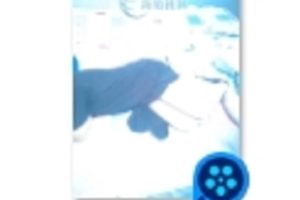 诱惑丝袜某处视频1V200M百度盘