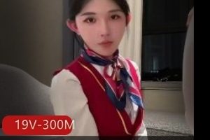 TS空姐甜瓜最新合集19V300M，短资源精选
