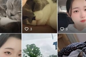 推特网红小赵自拍劲爆片段110MB珍藏绝技