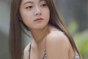 宋轶刘亦菲AI换脸舞蹈合集88部50G推特大神私藏版