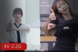 小妖精tiktok混剪B站PMV抖N舞4V2.2G撩人卡点